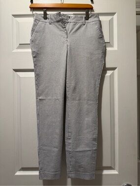 Express White & BlueishGreyish Causal Pants
